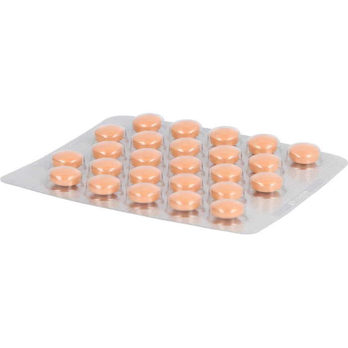 ANGOCIN Anti-Infekt N Filmtabletten, 100 St. Tabletten