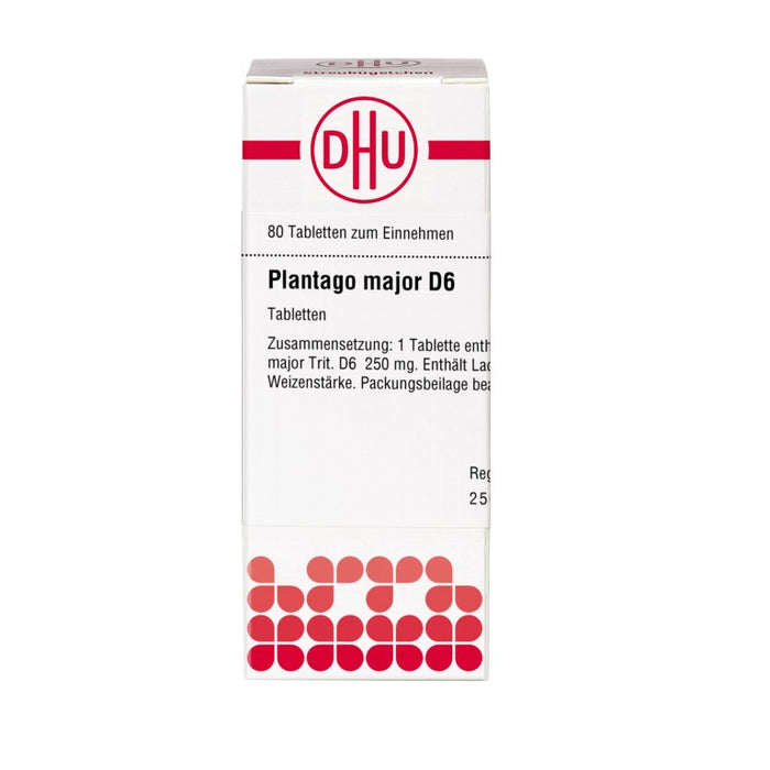 DHU Plantago major D6 Tabletten, 80 St. Tabletten