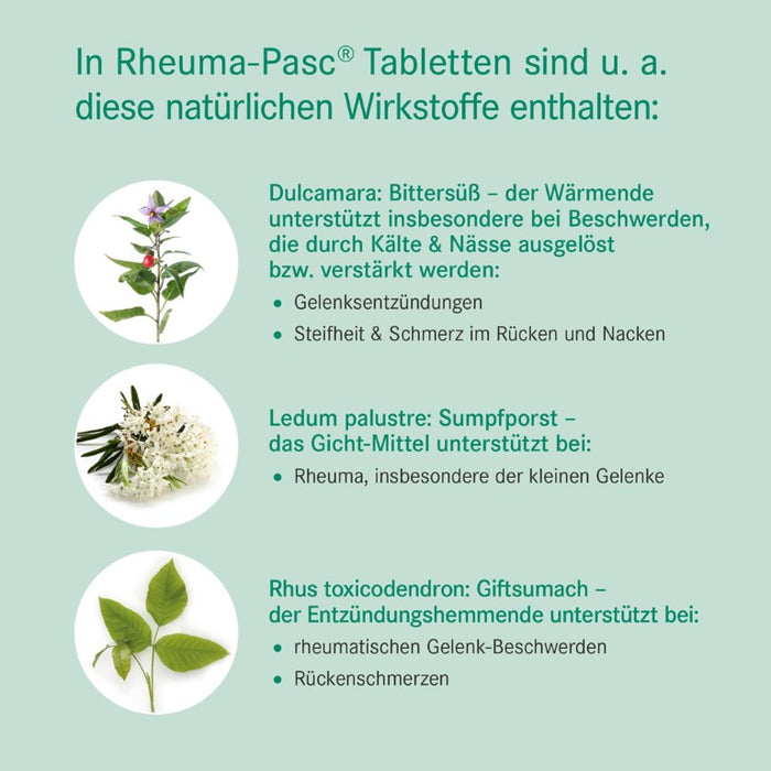 Rheuma-Pasc Tabletten bei rheumatischen Beschwerden, 100 St. Tabletten