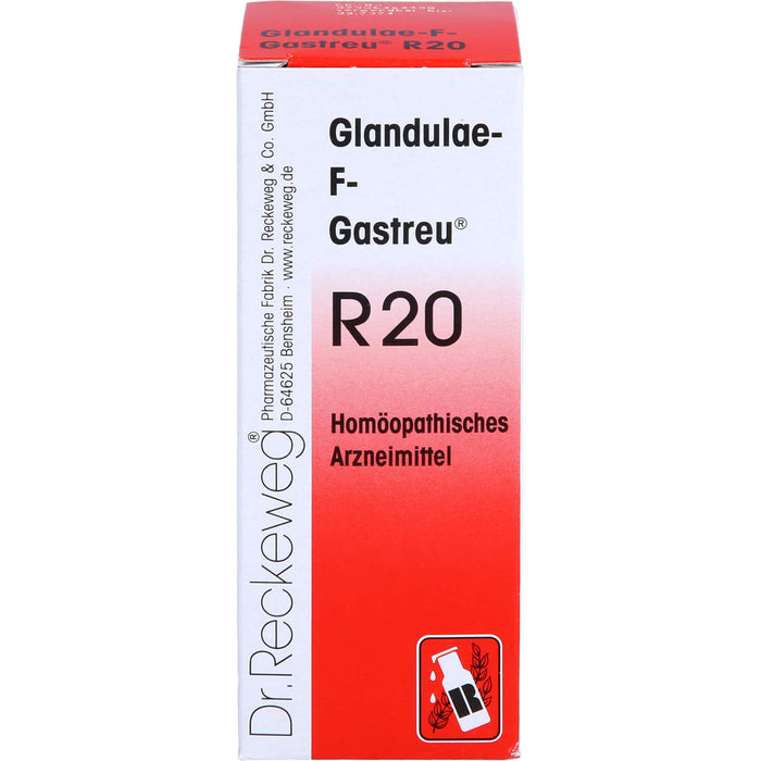 Dr. RECKEWEG & CO Glandulae-F-Gastreu R20 Mischung, 50 ml Lösung