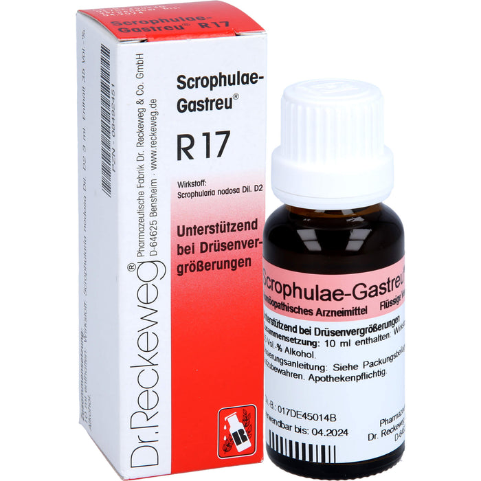 Scrophulae-Gastreu R17 Tropf., 22 ml MIS