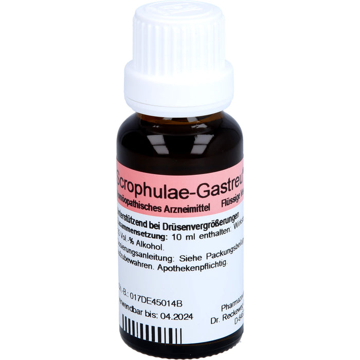 Scrophulae-Gastreu R17 Tropf., 22 ml MIS