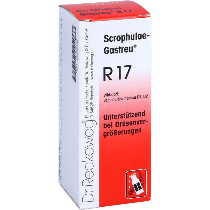 Scrophulae-Gastreu R17 Tropf., 50 ml MIS