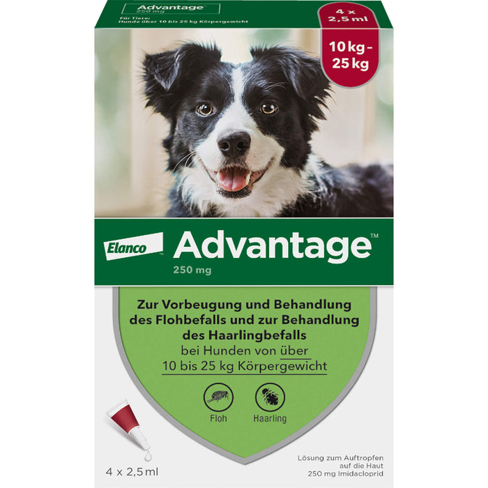 Advantage 250 mg Lösung zum Auftropfen bei Hunden, 4 St. Ampullen