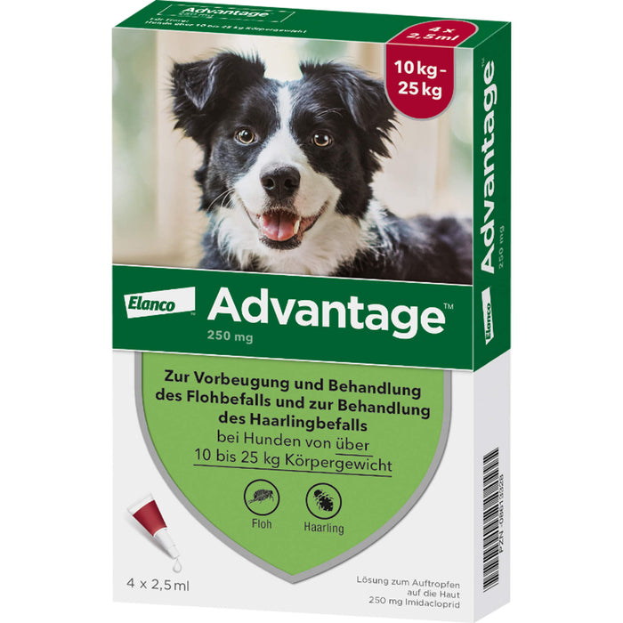 Advantage 250 mg Lösung zum Auftropfen bei Hunden, 4 St. Ampullen
