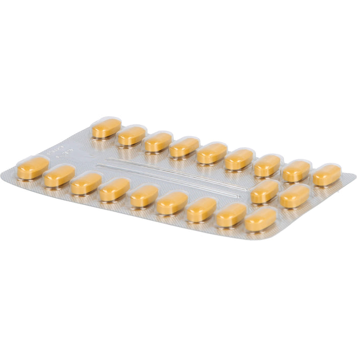 Tebonin intens 120 mg Filmtabletten zur Leistungsstärkung des Gehirns und zur Durchblutung, 120 St. Tabletten
