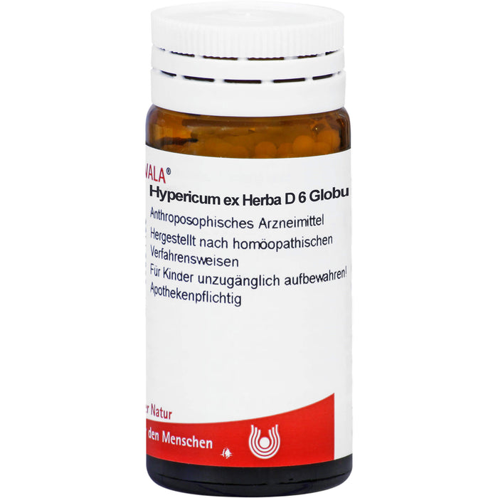 Hypericum ex Herba D6 Wala Globuli, 20 g GLO