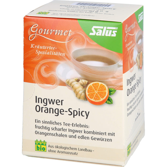 Ingwer Orange-Spicy Tee Salus, 15 St FBE