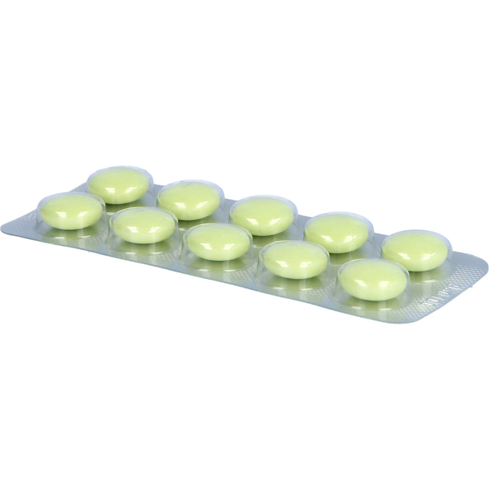 Silymarcur Tabletten bei Lebererkrankungen, 100 St. Tabletten