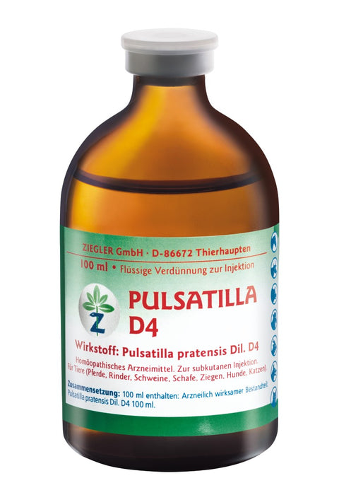 ZIEGLER Pulsatilla D 4 Dilution, 100 ml Lösung