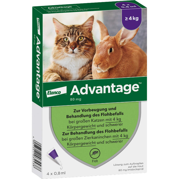 Advantage 80 mg für Katzen und Zierkaninchen über 4 kg Lösung, 3.2 ml Lösung