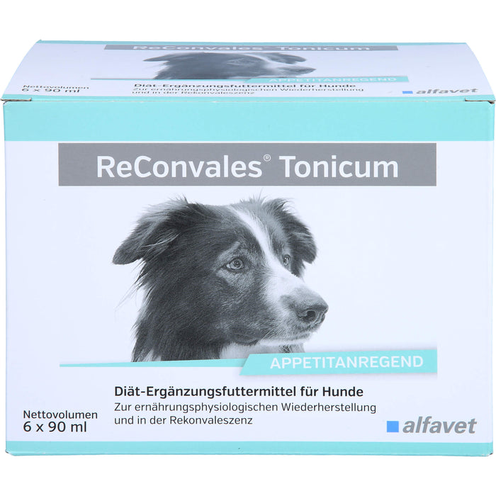 ReConvales Tonicum Hund, 6X90 ml TON