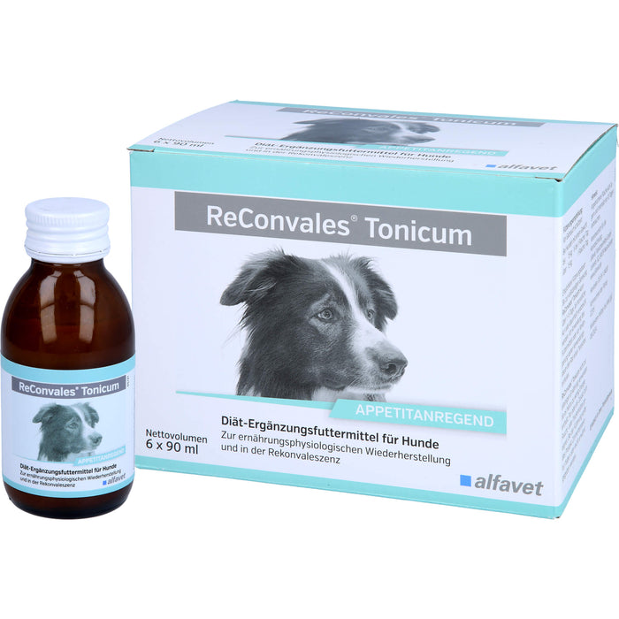 ReConvales Tonicum Hund, 6X90 ml TON
