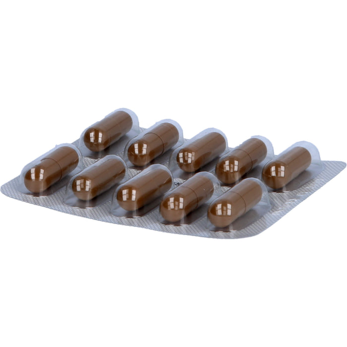 ORIFARM Essentiale Kapseln 300 mg, 250 St. Kapseln