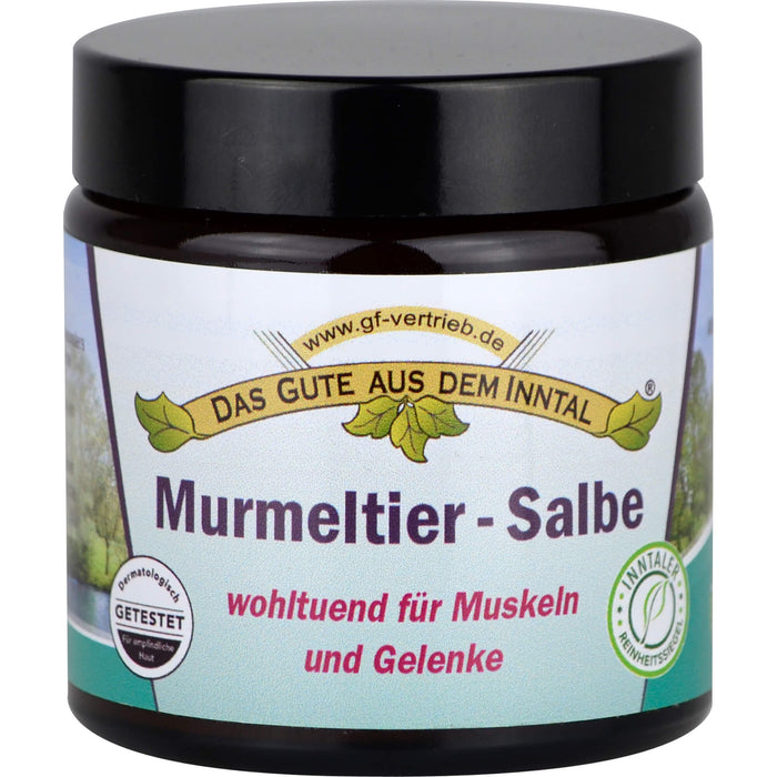 Murmeltier Salbe, 110 ml SAL