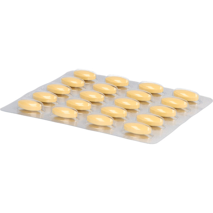 Jarsin 450 mg Tabletten zur Stimmungsaufhellung, 60 St. Tabletten