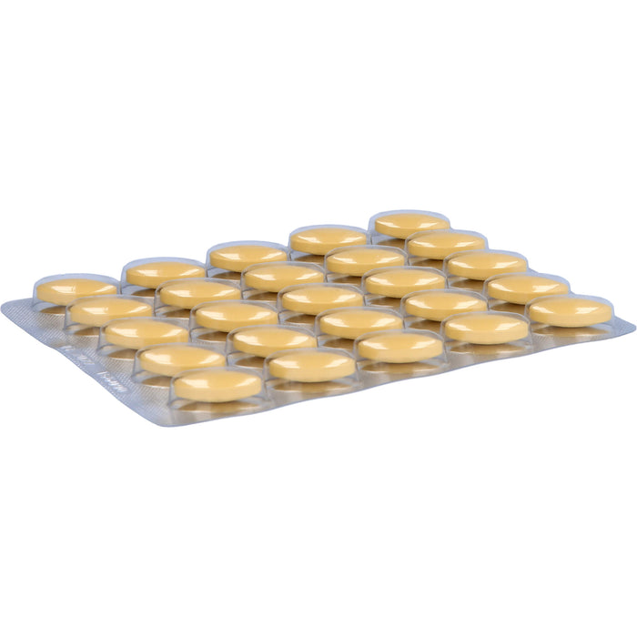 Jarsin 450 mg Tabletten zur Stimmungsaufhellung, 100 St. Tabletten