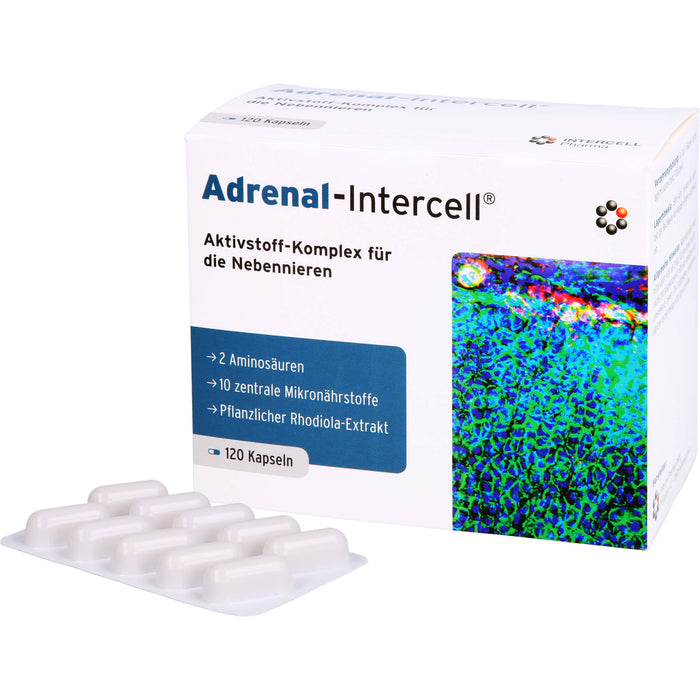 Adrenal-Intercell Aktiv-Komplex für die Nebennieren Kapseln, 120 St. Kapseln