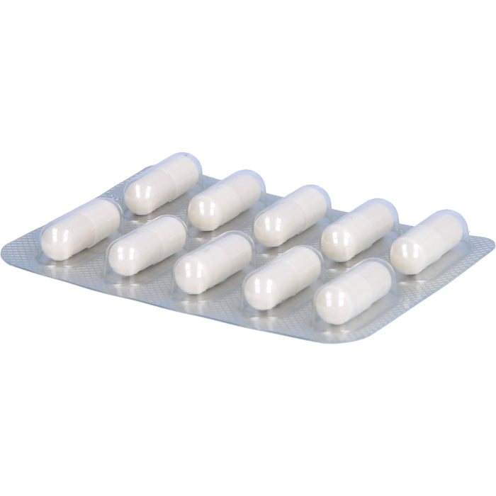 Yomogi 250 mg Hartkapseln mikrobielles Antidiarrhoikum, 50 St. Kapseln