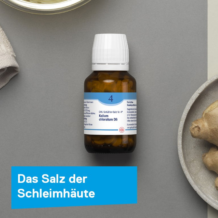 DHU Schüßler-Salz Nr. 4 Kalium chloratum D6 – Das Mineralsalz der Schleimhäute – das Original – umweltfreundlich im Arzneiglas, 200 St. Tabletten