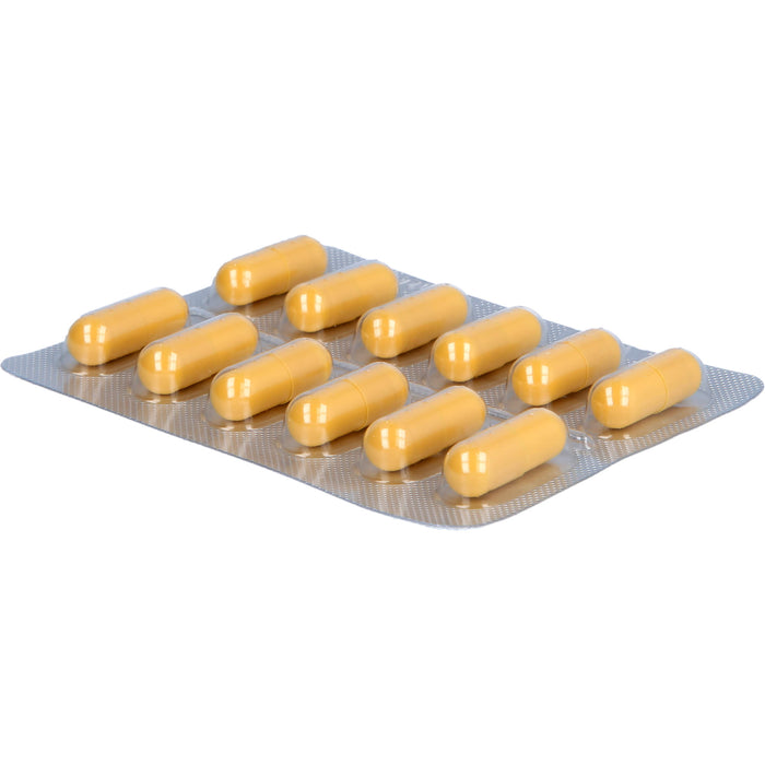 PENTOFURYL 200 mg Kapseln bei akutem Durchfall, 12 St. Kapseln