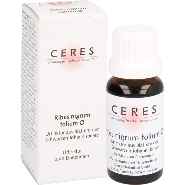 Ceres Ribes nigrum folium Urtinktur, 20 ml TEI