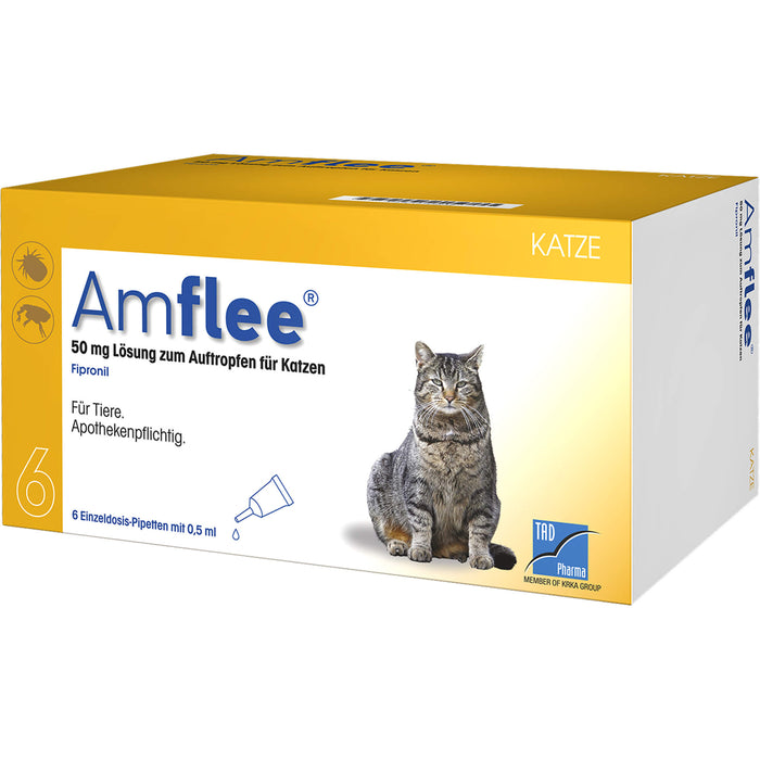 Amflee 50 mg Lösung zum Auftropfen für Katzen, 6 St. Ampullen