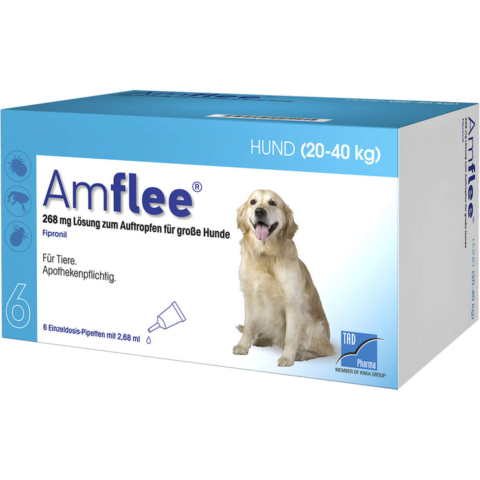 Amflee 268 mg Lösung zum Auftropfen für Hunde 20 - 40 kg, 6 St. Ampullen