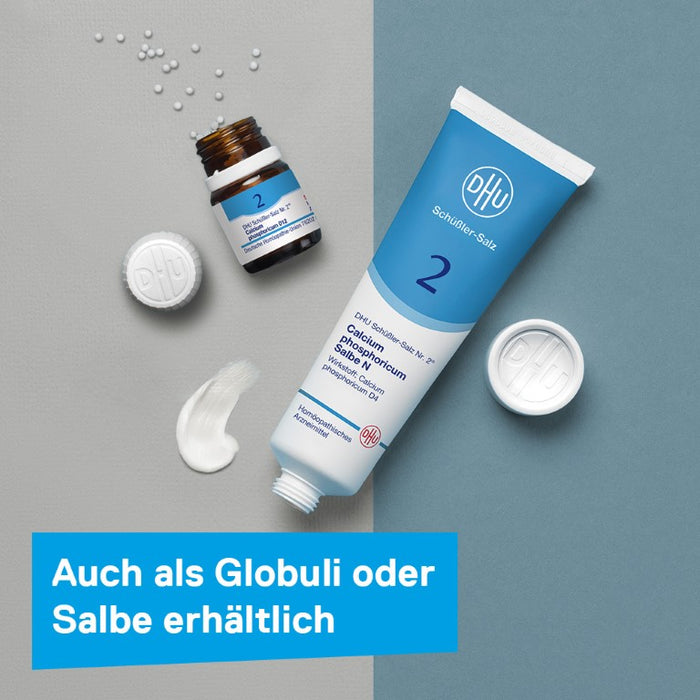 DHU Schüßler-Salz Nr. 2 Calcium phosphoricum D 12 Tabletten, 420 St. Tabletten