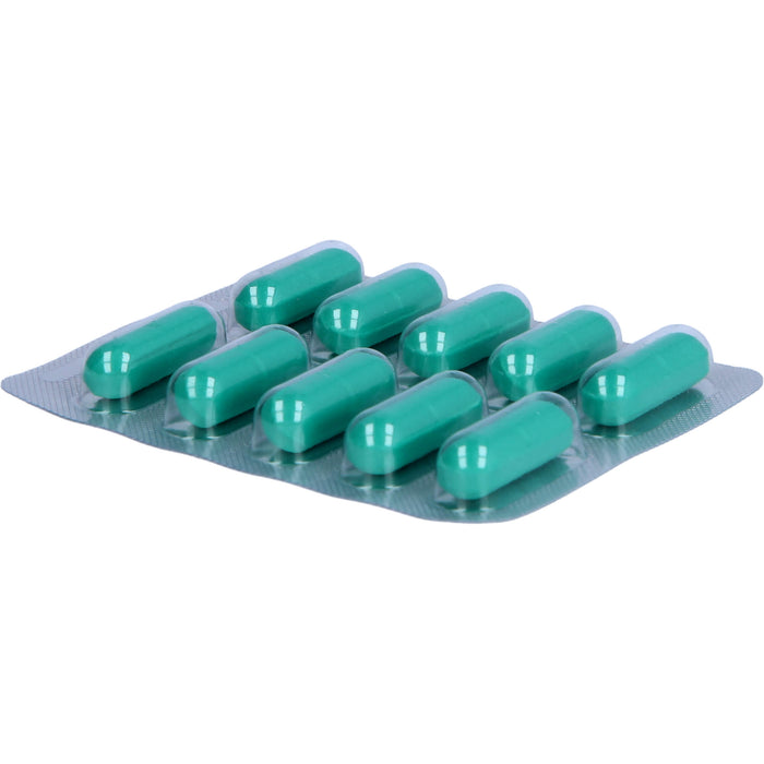 Hepar-SL 640 mg Filmtabletten bei Verdauungsstörungen, 50 St. Tabletten