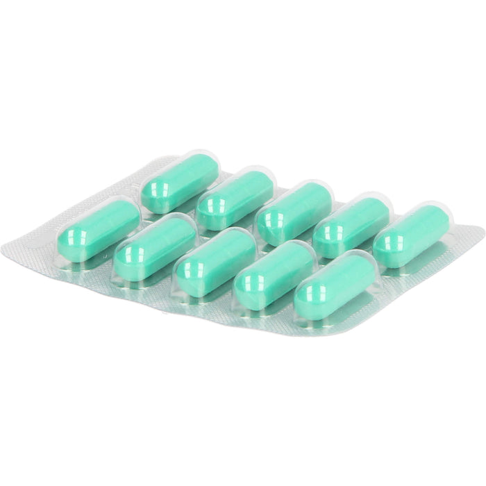 Hepar-SL 640 mg Artischockenblätter-Trockenextrakt Filmtabletten, 100 St. Tabletten