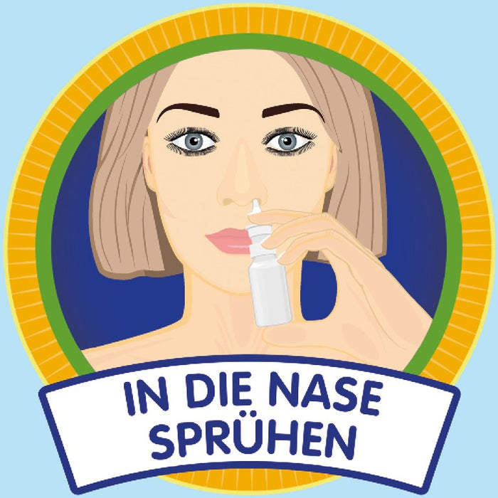 Livocab direkt Nasenspray, 10 ml Lösung