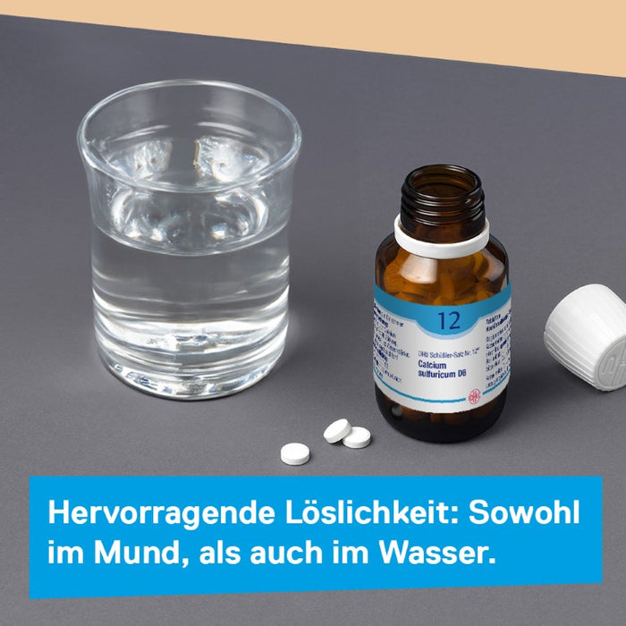 DHU Schüßler-Salz Nr. 12 Calcium Sulfuricum D12 Tabletten, 420 St. Tabletten