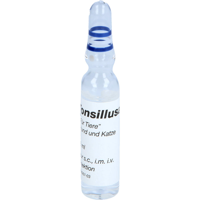 WERAVET  23 Tonsillulal Ampullen für Hunde und Katzen, 20 ml Lösung