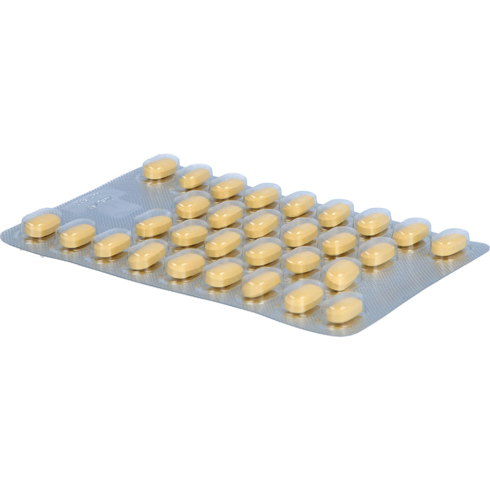Tebonin forte 40 mg Filmtabletten zur Leistungsstärkung des Gehirns und zur Durchblutung, 120 St. Tabletten