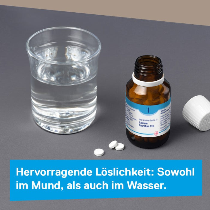 DHU Schüßler-Salz Nr. 1 Calcium fluoratum D6 Tabletten, 80 St. Tabletten