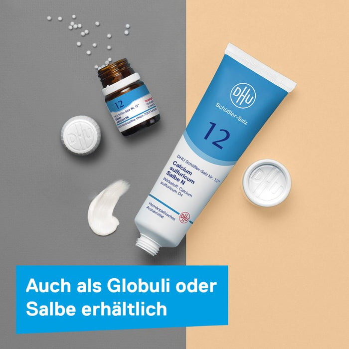 DHU Schüßler-Salz Nr. 12 Calcium sulfuricum D 12 Tabletten, 200 St. Tabletten