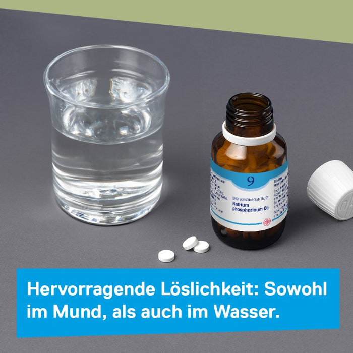 DHU Schüßler-Salz Nr. 9 Natrium phosphoricum D12 Tabletten, 420 St. Tabletten