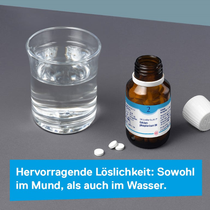 DHU Schüßler-Salz Nr. 2 Calcium phosphoricum D 12 Tabletten, 200 St. Tabletten