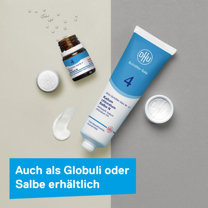 DHU Schüßler-Salz Nr. 4 Kalium chloratum D12 Tabletten, 200 St. Tabletten