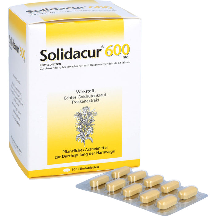Solidacur 600 mg Filmtabletten zur Durchspülung der Harnwege, 100 St. Tabletten
