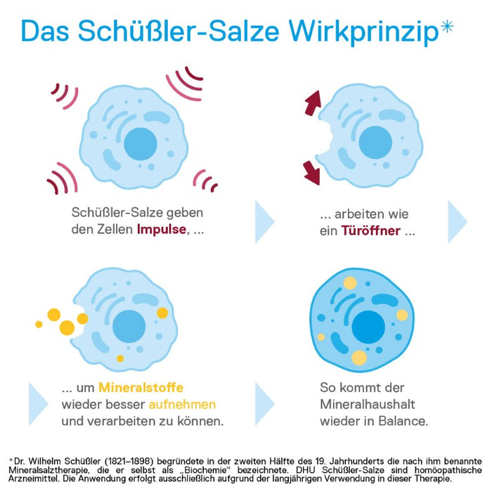 DHU Schüßler-Salz Nr. 3 Ferrum phosphoricum D6, Das Mineralsalz des Immunsystems – das Original – umweltfreundlich im Arzneiglas, 200 St. Tabletten