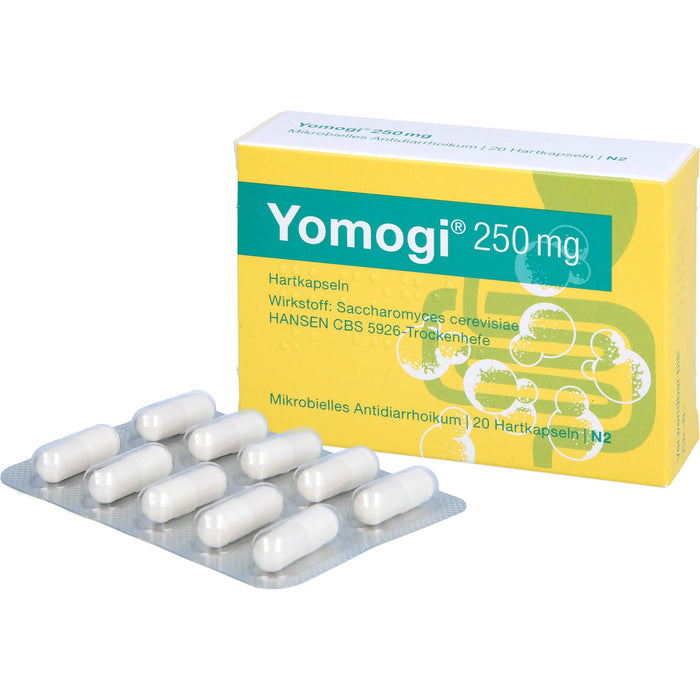 Yomogi 250 mg, Hartkapseln, 20 St. Kapseln