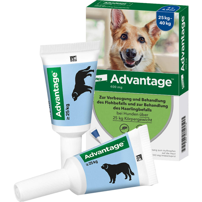 Elanco Advantage 400 bei Hunden 25 kg - 40 kg Lösung zur Vorbeugung und Behandlung des Floh- und Haarlingsbefalls, 4 St. Ampullen