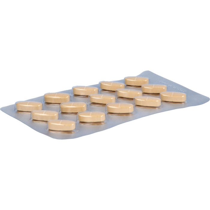 Orthoexpert Gelenknahrung Pro Hyaluron Tabletten für Knorpel und Gelenke, 90 St. Tabletten