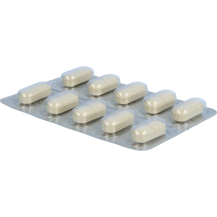 Solidago Steiner Tabletten, 60 St. Tabletten